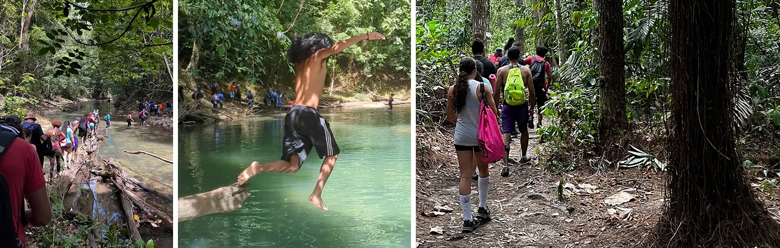 Upper Mermaid Pools, Matura Forest of East Trinidad.